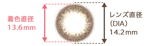 着色直径 13.6mm / レンズ直径(DIA) 14.2mm